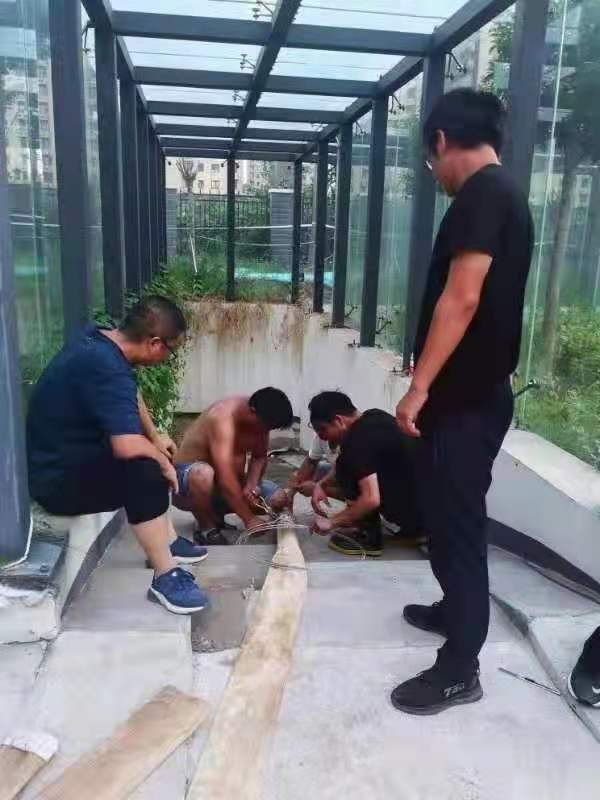 1627530037396262.jpg 1627530037396262.jpg